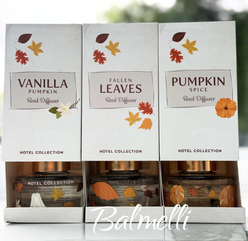 Aldi hotel autumn - aldi,